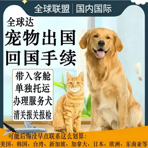 宁波宠物托运到柬埔寨宠物入境规定和要求