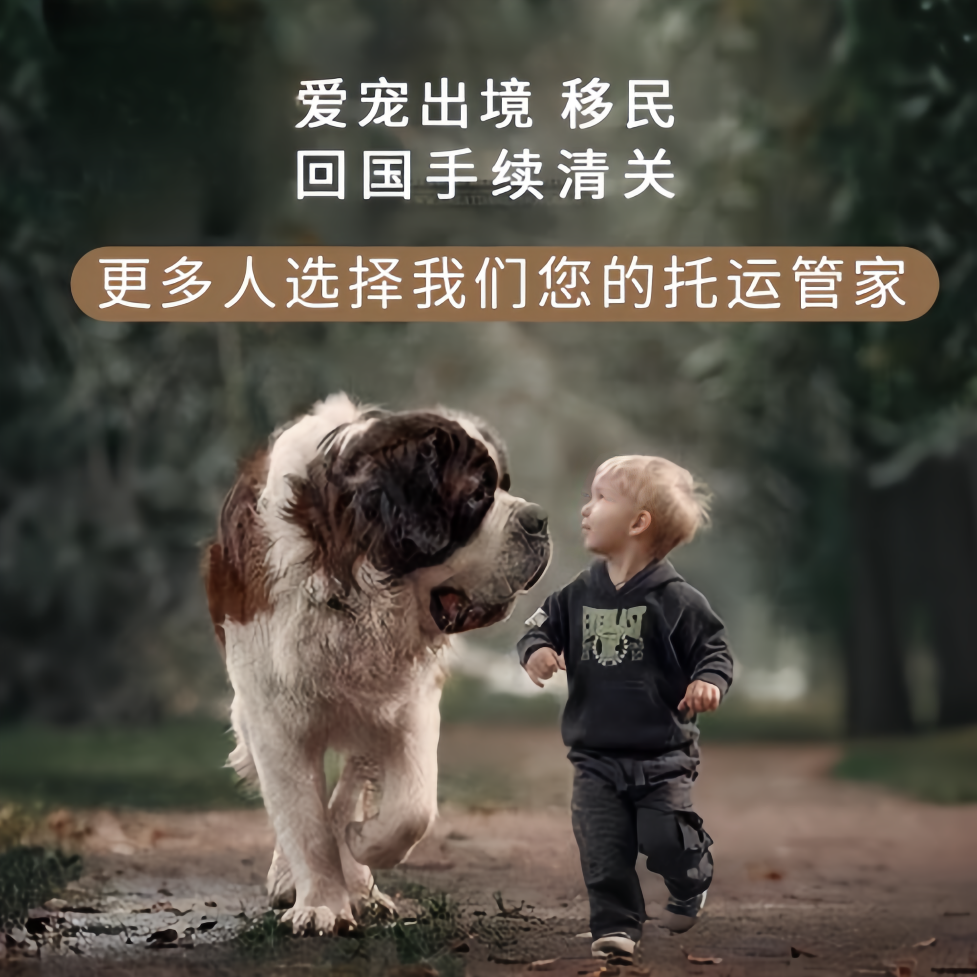 满财宁波宠物全球达宠物托运在遵守入境目的地政策的条件